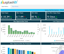 Executive Dashboard 4