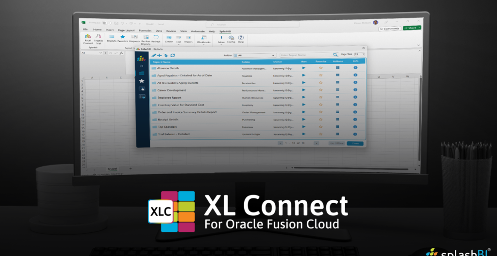 XL Connect: A Versatile Tool for Both Functional and Technical Users 4
