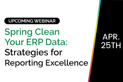 Spring Clean Your ERP Data: Strategies for Reporting Excellence 4