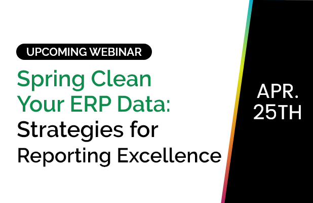 Spring Clean Your ERP Data: Strategies for Reporting Excellence 9