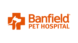 From Discoverer to Modern Analytics in Weeks 5 banfield.png